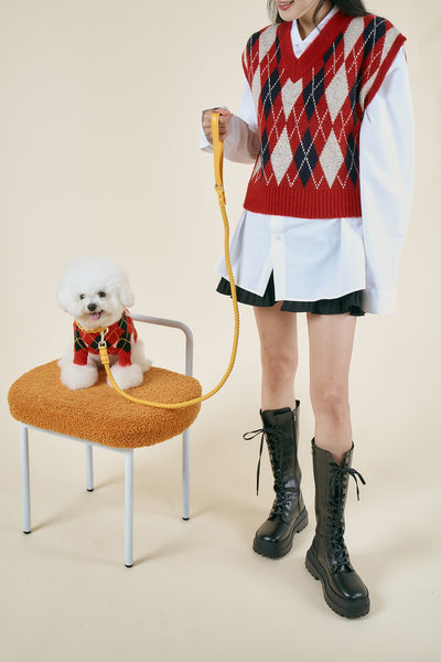 [STORETS X COSONNE] Argyle Pet Sweater