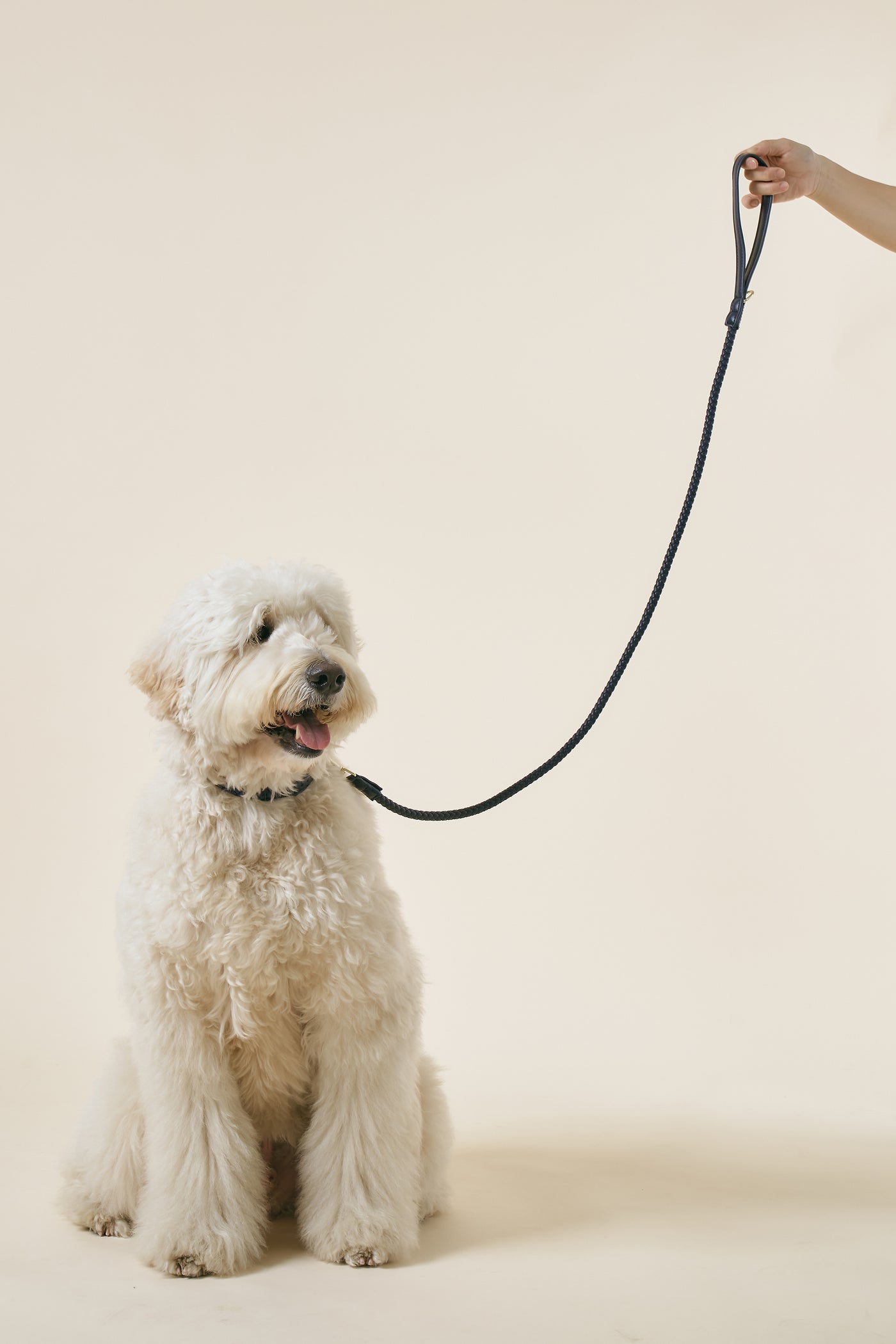 [COSONNE] Braided Pet Leash(for pet)