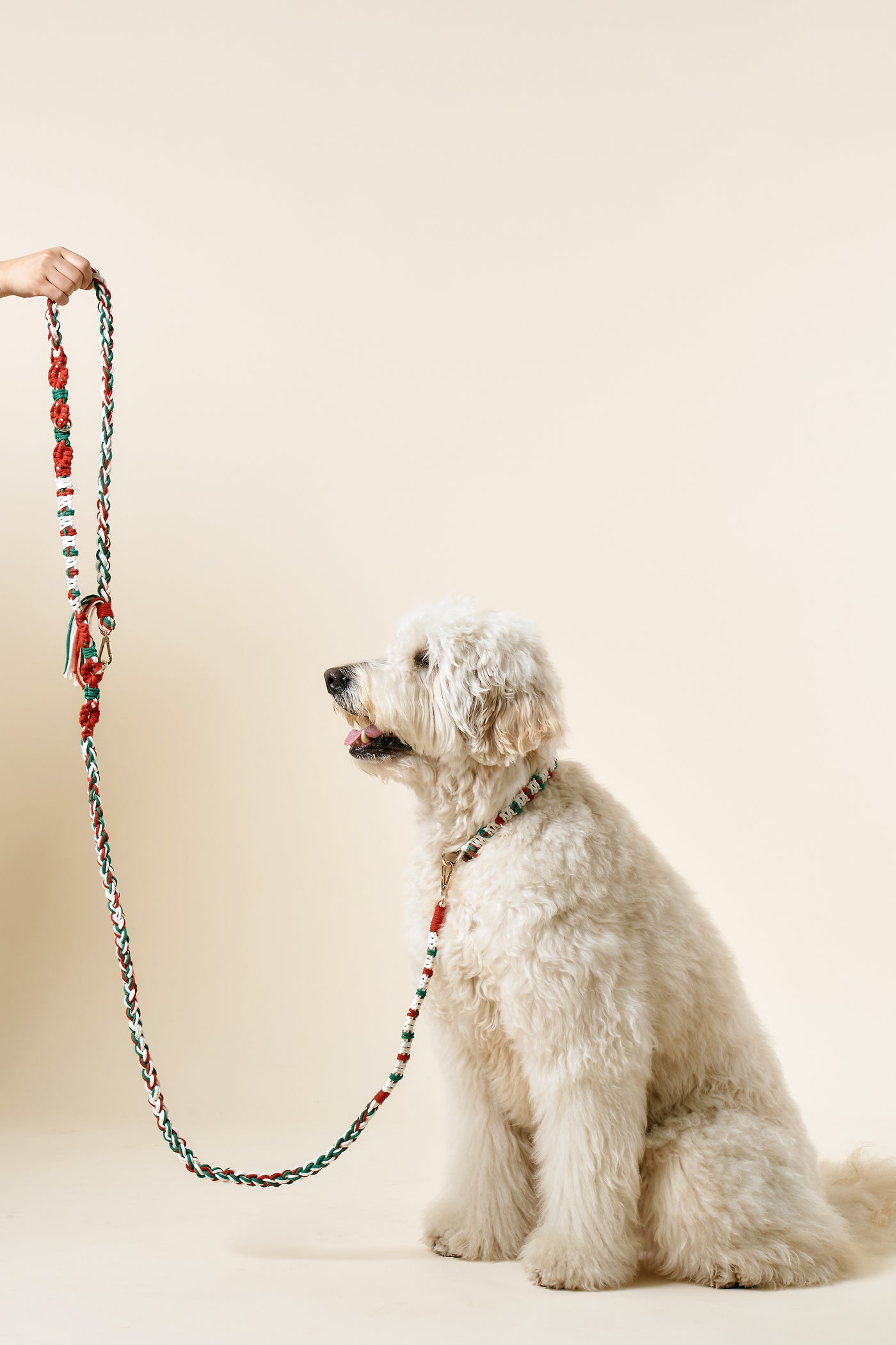 [COSONNE] Candycane Macrame Neck Collar(for pet)