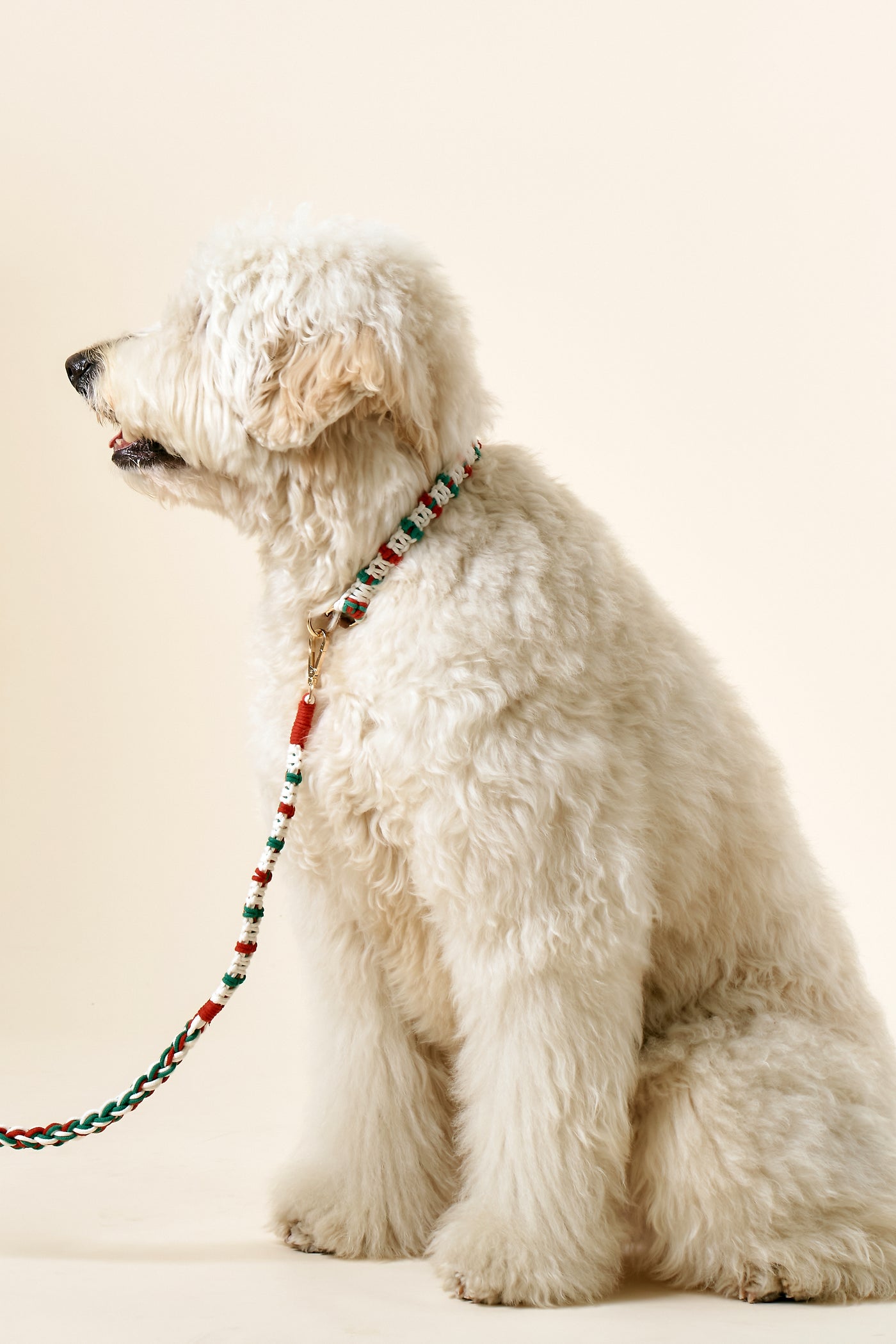 [COSONNE] Candycane Macrame Neck Collar(for pet)