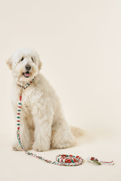 [COSONNE] Candycane Macrame Hands Free Pet Leash(for pet)