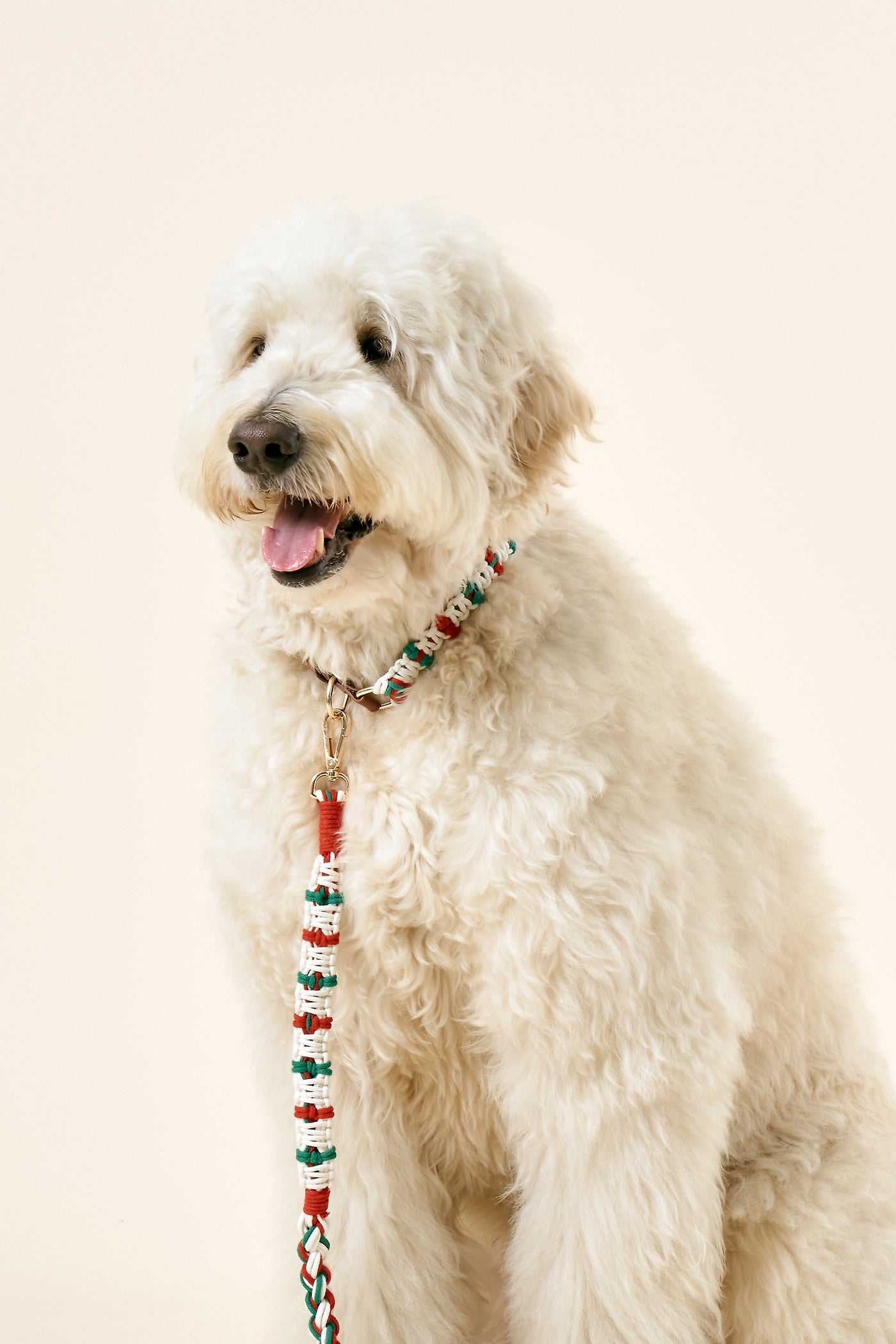 [COSONNE] Candycane Macrame Hands Free Pet Leash(for pet)