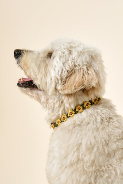 [COSONNE] Flower Macrame Neck Collar