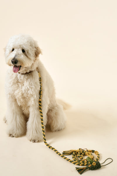 [COSONNE] Flower Macrame Hands Free Pet Leash