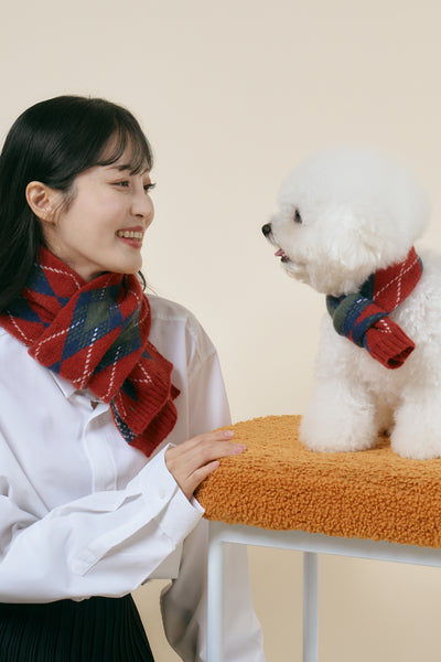 [STORETS X COSONNE] Knitted Pet Neck Scarf