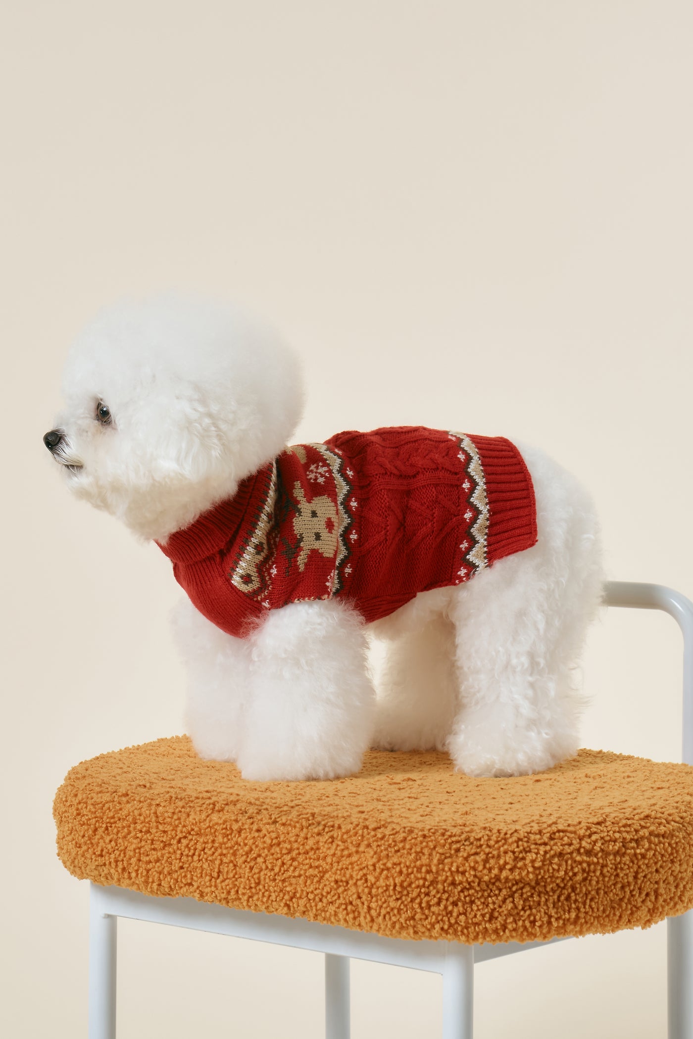 [STORETS X COSONNE] Teddy Ugly Pet Sweater(for pet)