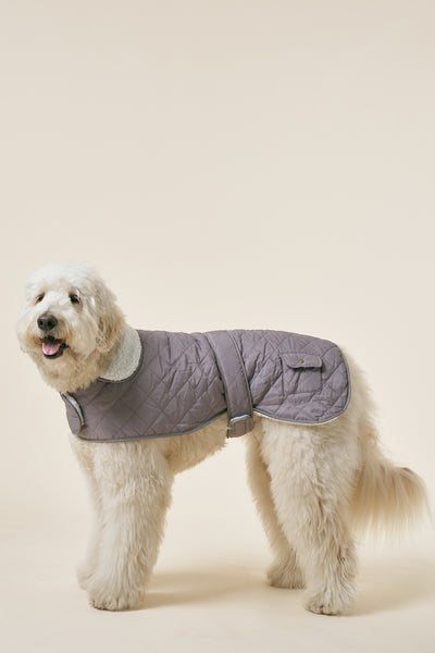 [COSONNE] Winter Quilting Coat(for pet)