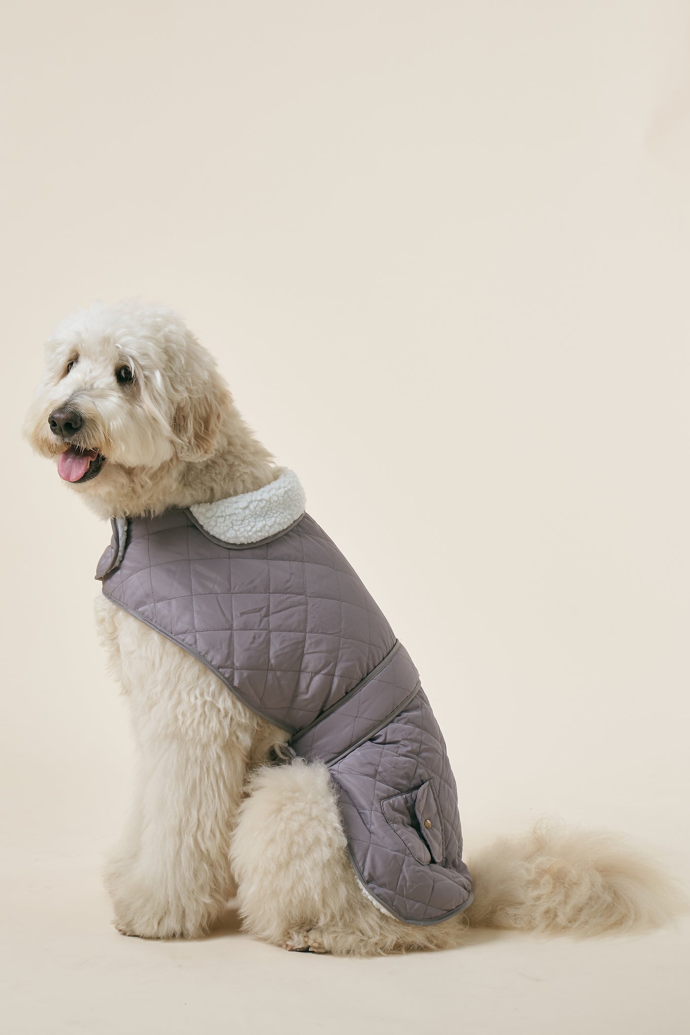 [COSONNE] Winter Quilting Coat(for pet)