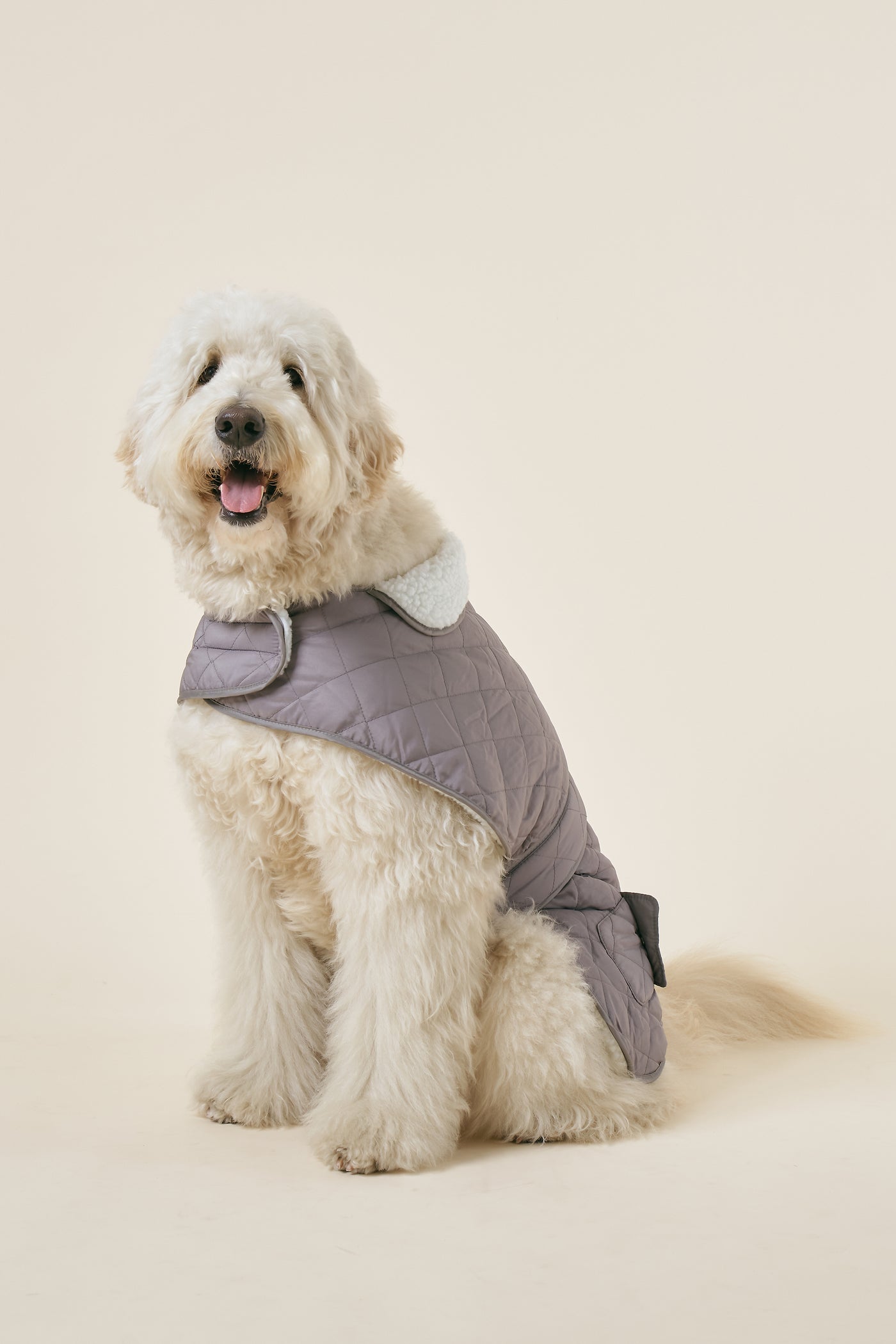 [COSONNE] Winter Quilting Coat(for pet)