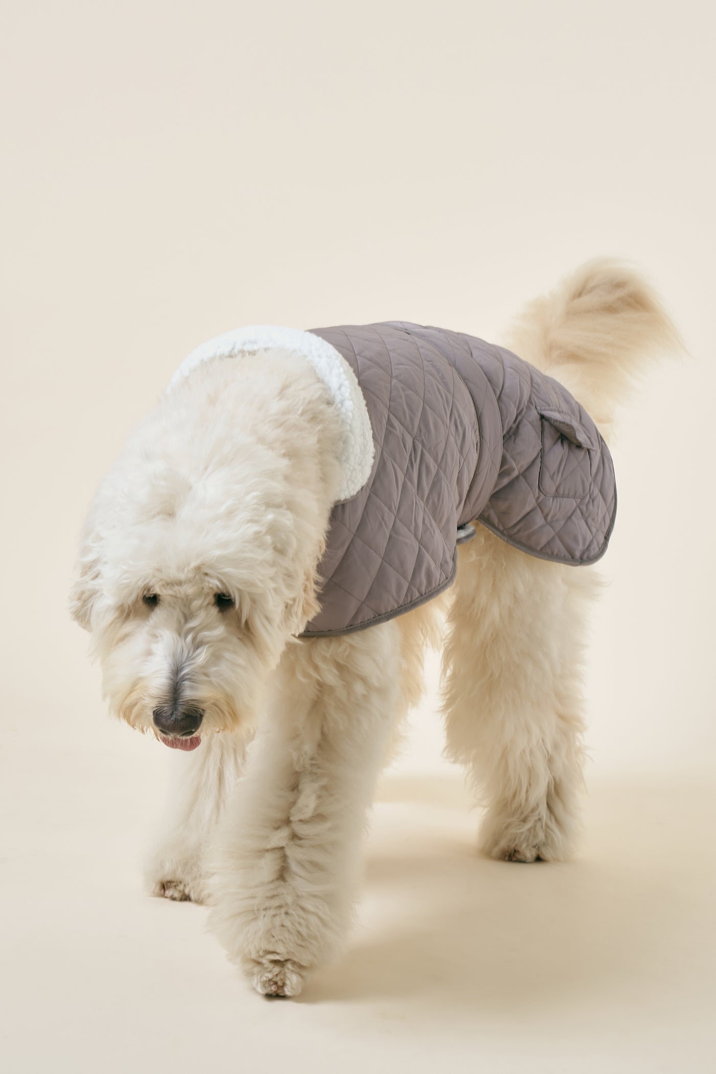 [COSONNE] Winter Quilting Coat(for pet)