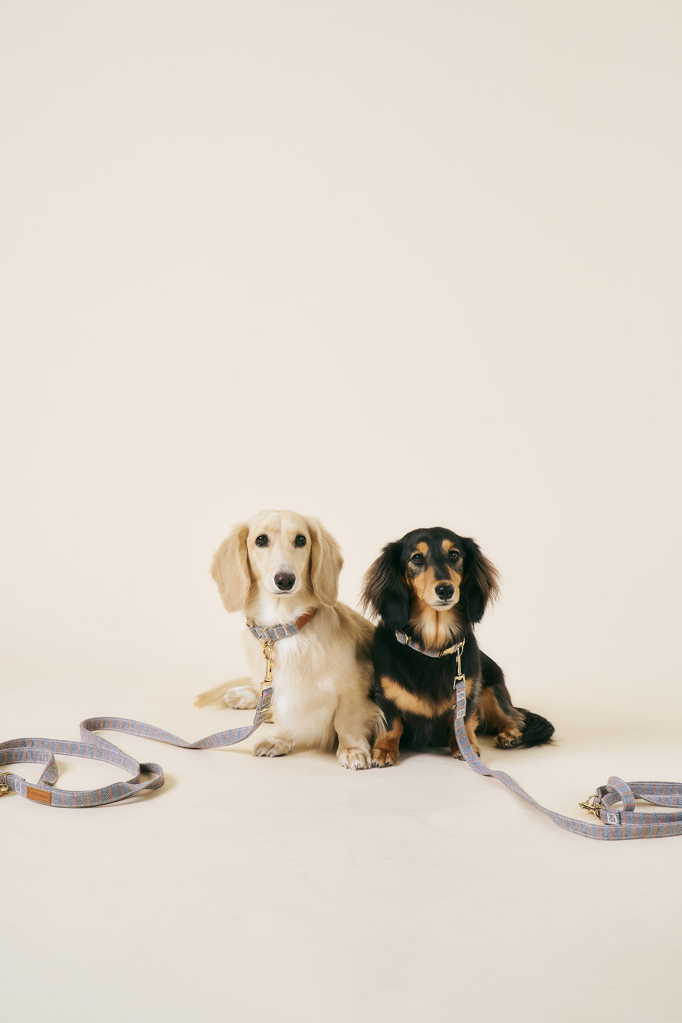 [COSONNE] Herringbone Hands-free Pet Leash