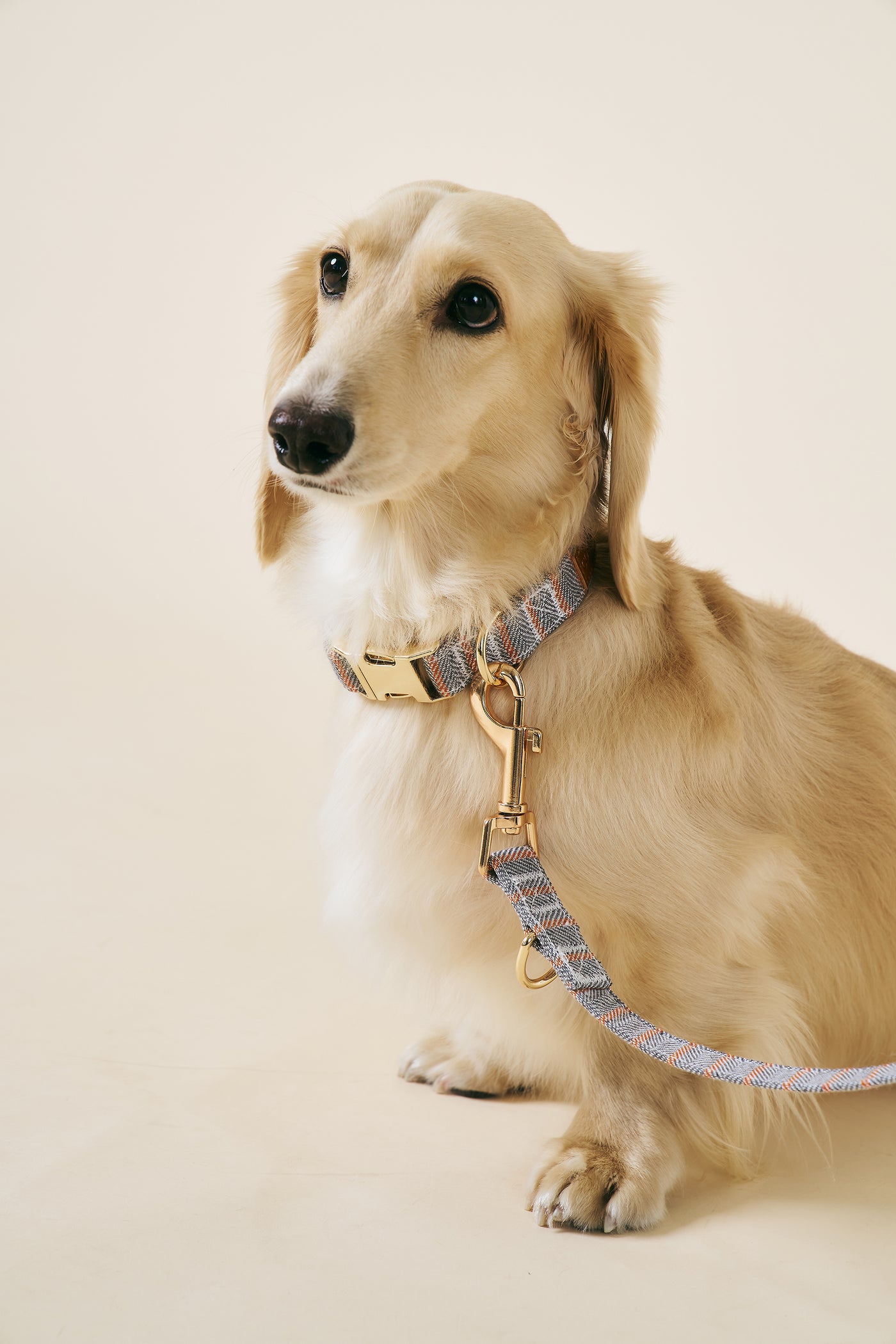 [COSONNE] Herringbone Pet Neck Collar