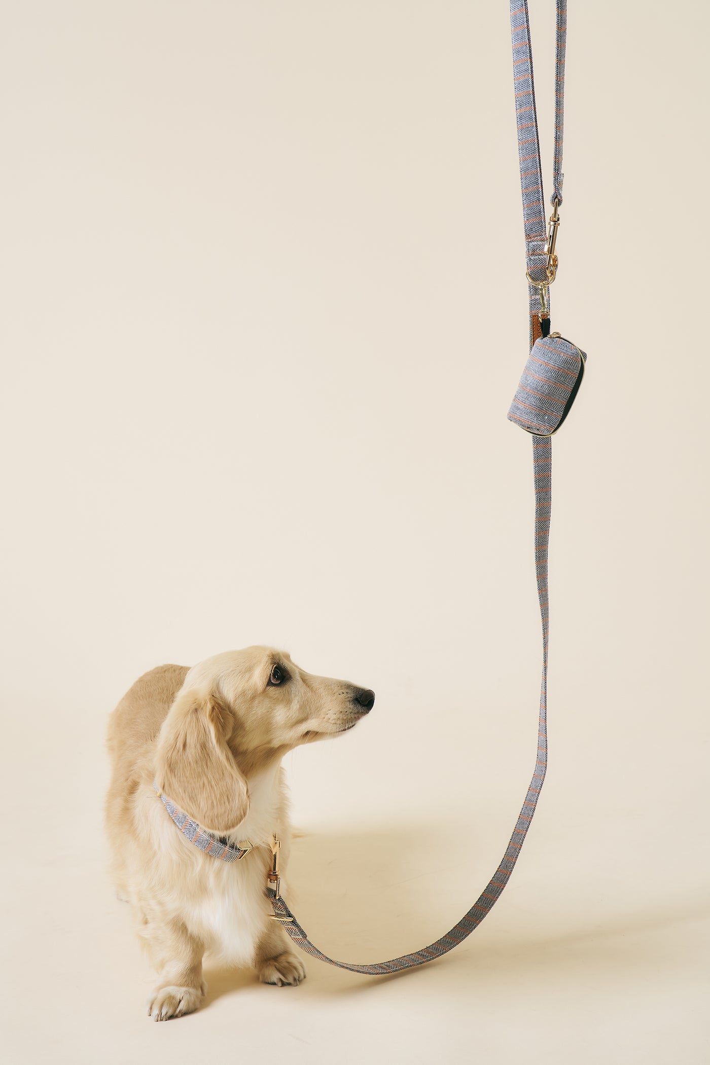 [COSONNE] Herringbone Hands-free Pet Leash