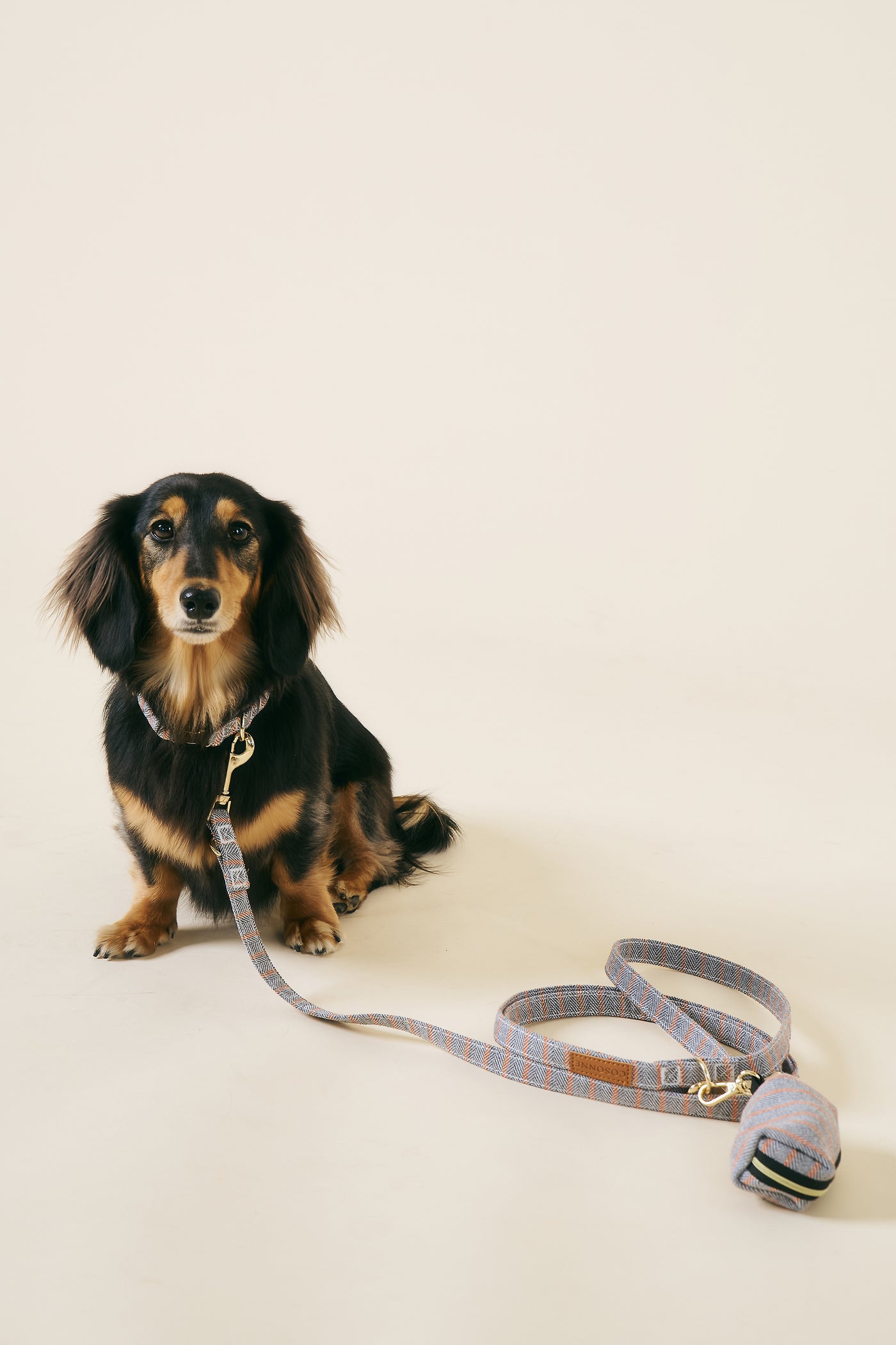 [COSONNE] Herringbone Hands-free Pet Leash