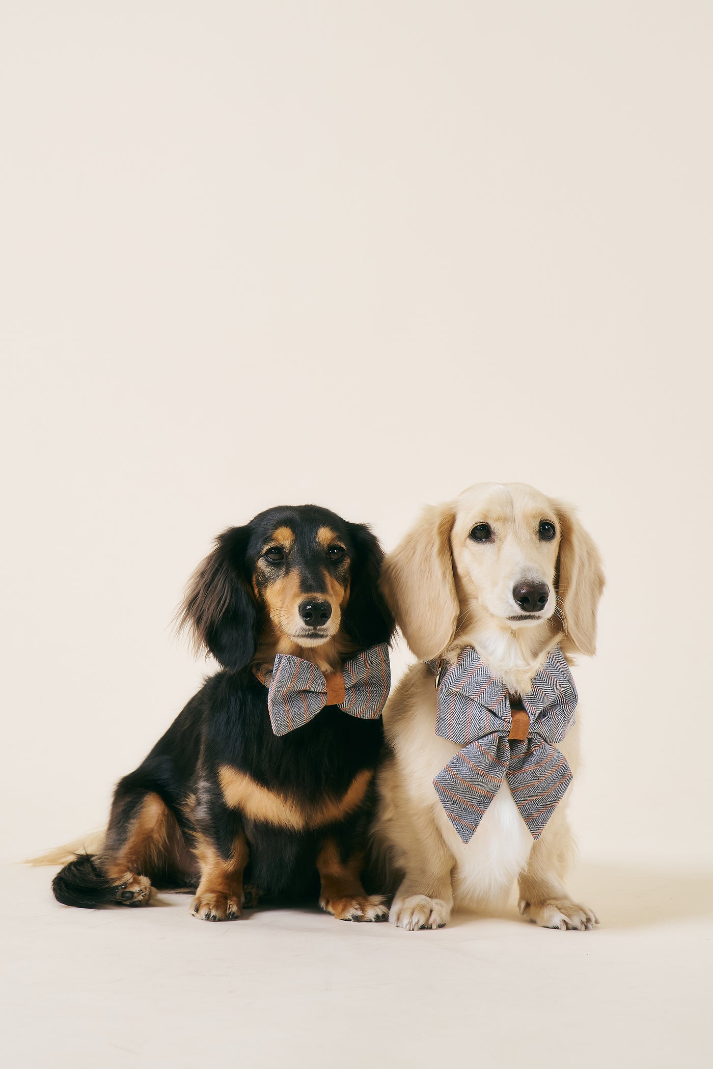 [COSONNE] Herringbone Pet Bowtie