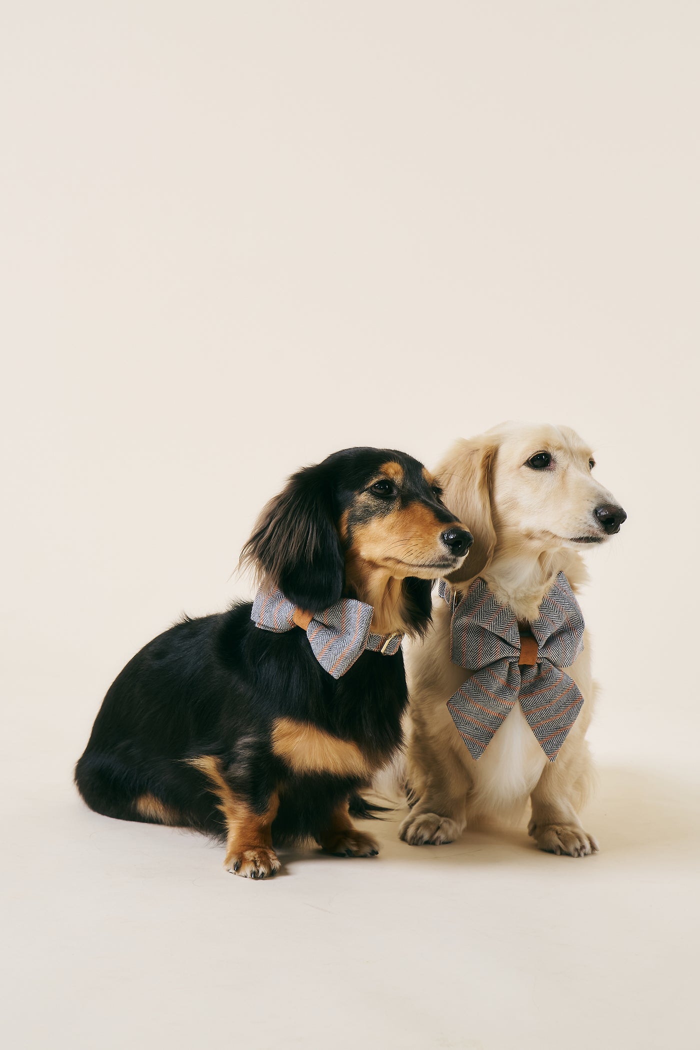 [COSONNE] Herringbone Pet Bowtie