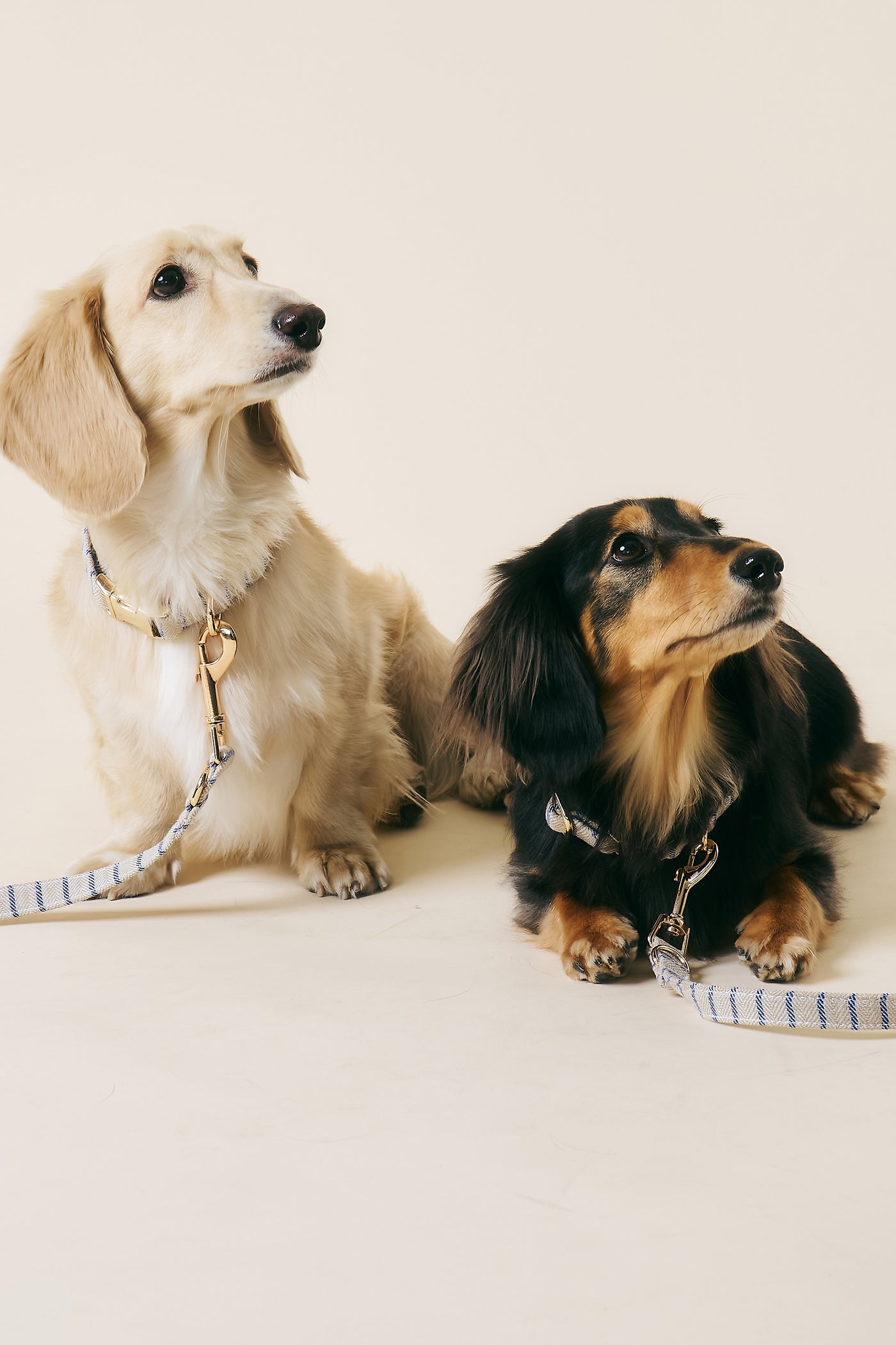 [COSONNE] Herringbone Pet Neck Collar