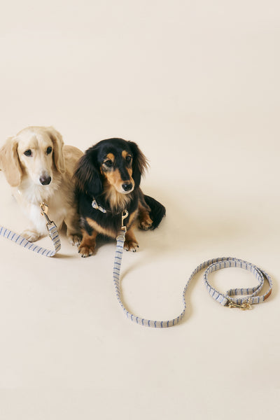 [COSONNE] Herringbone Hands-free Pet Leash