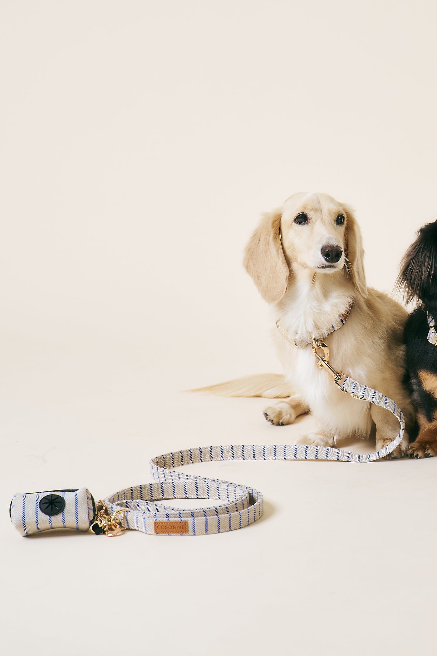 [COSONNE] Herringbone Hands-free Pet Leash