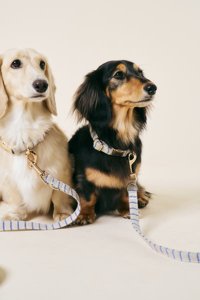 [COSONNE] Herringbone Pet Neck Collar