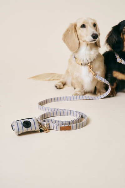 [COSONNE] Herringbone Hands-free Pet Leash