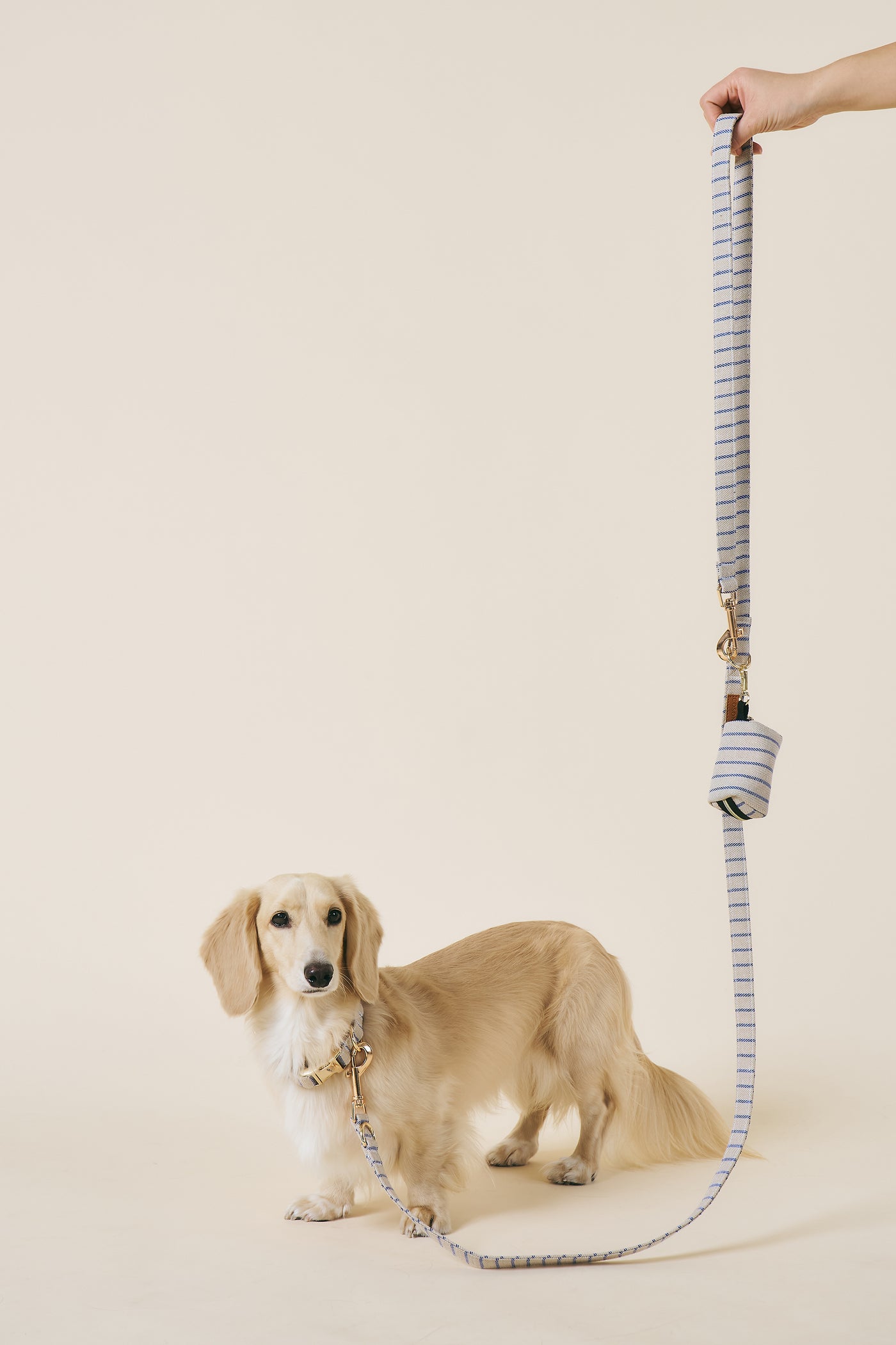 [COSONNE] Herringbone Hands-free Pet Leash