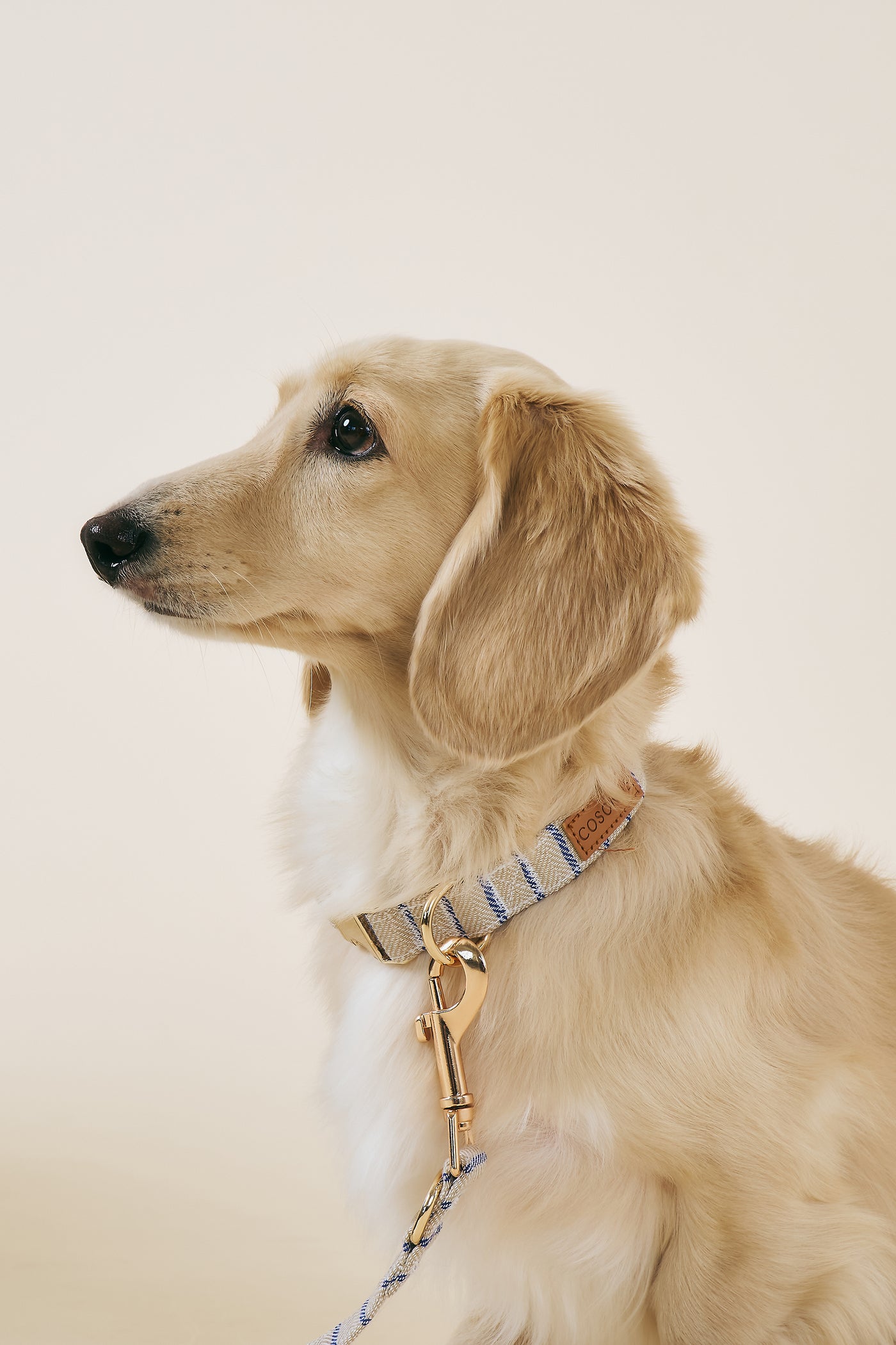 [COSONNE] Herringbone Pet Neck Collar