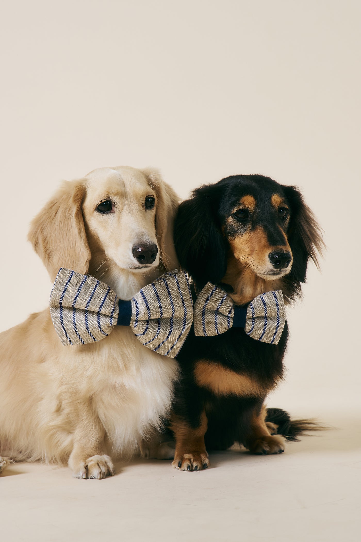 [COSONNE] Herringbone Pet Bowtie