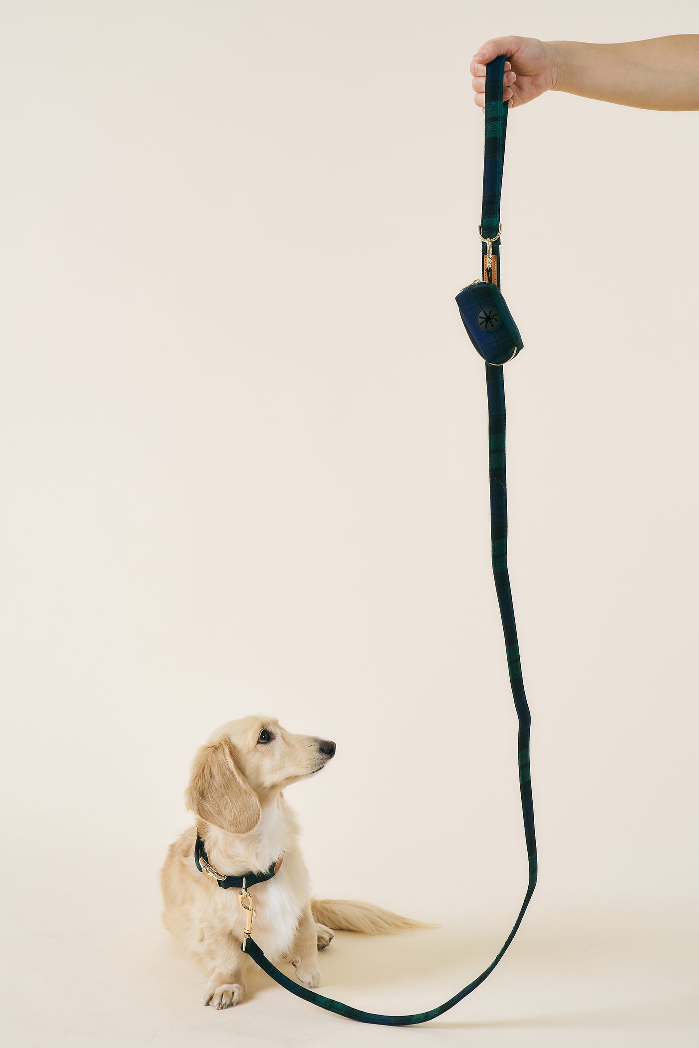 [COSONNE] Tartan Pet Leash