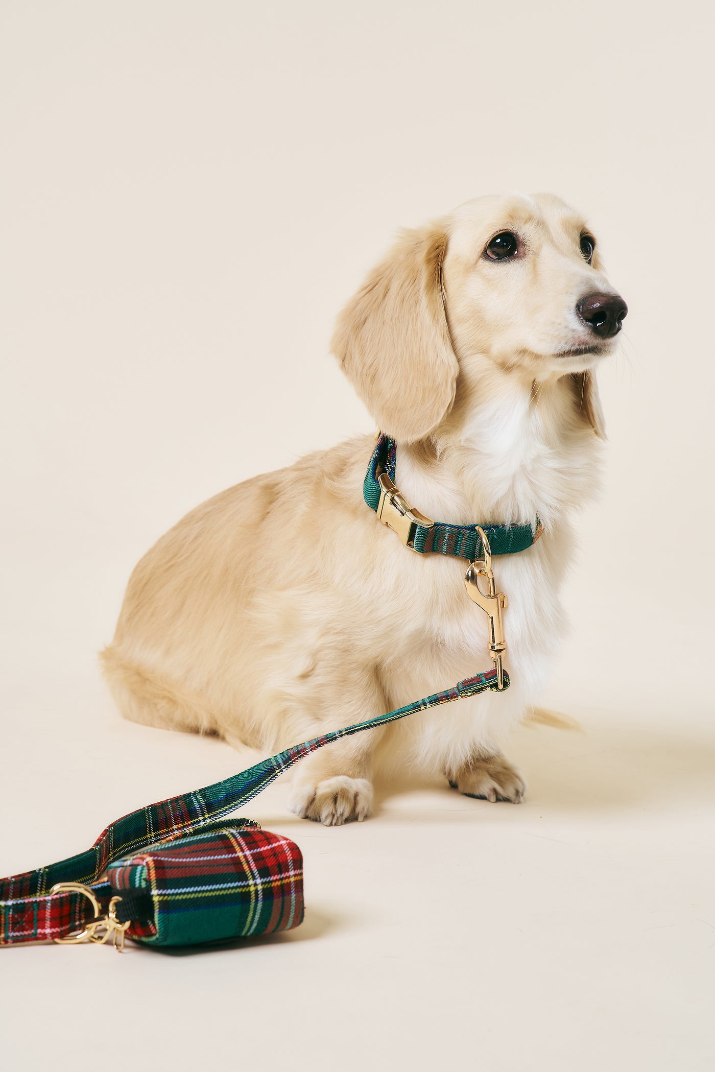 [COSONNE] Tartan Pet Neck Collar