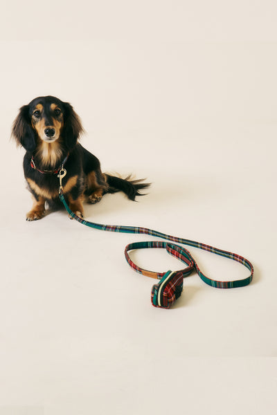 [COSONNE] Tartan Pet Leash