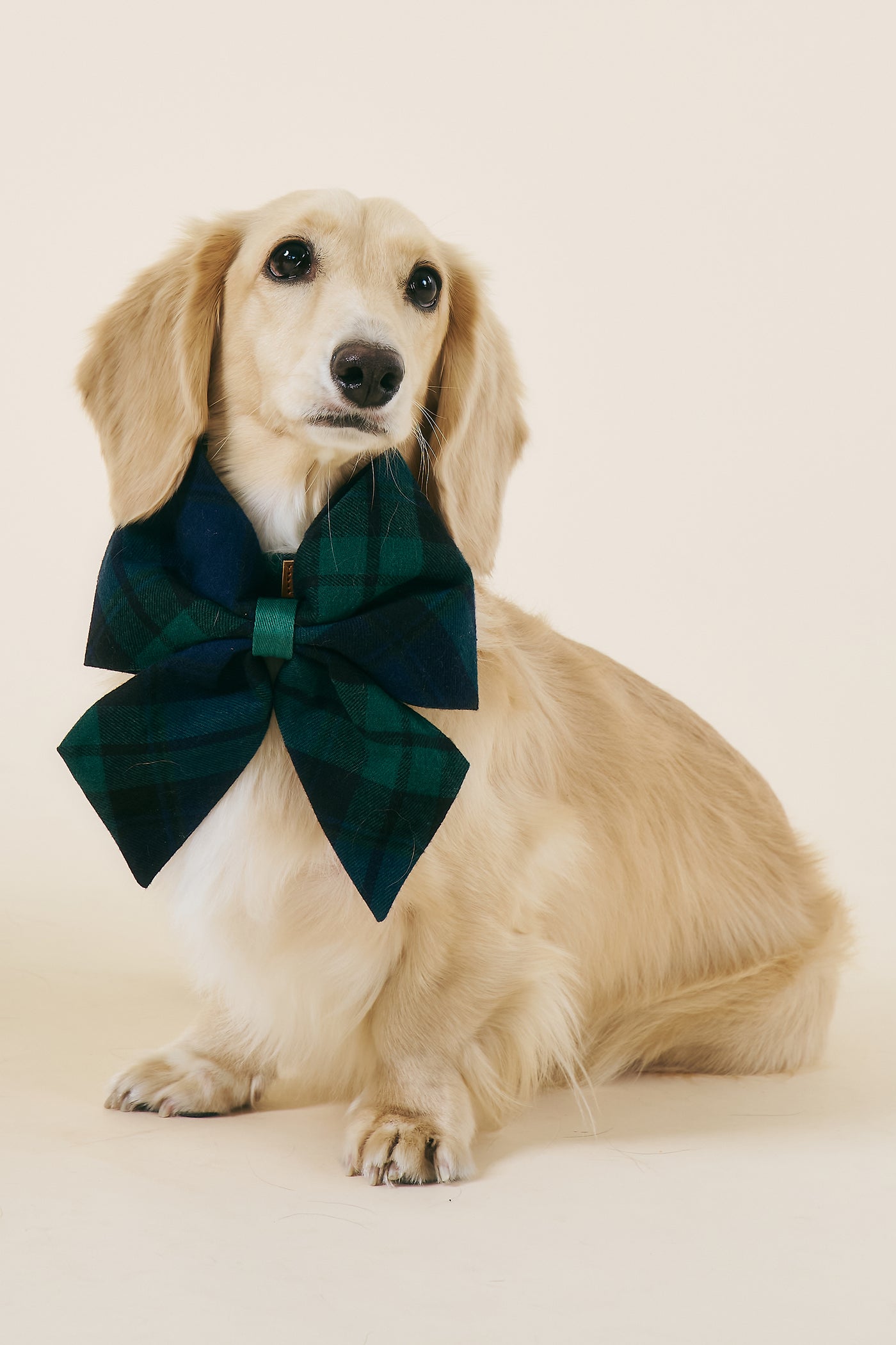 [COSONNE] Tartan Pet Sailor Bow