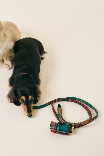 [COSONNE] Tartan Pet Leash