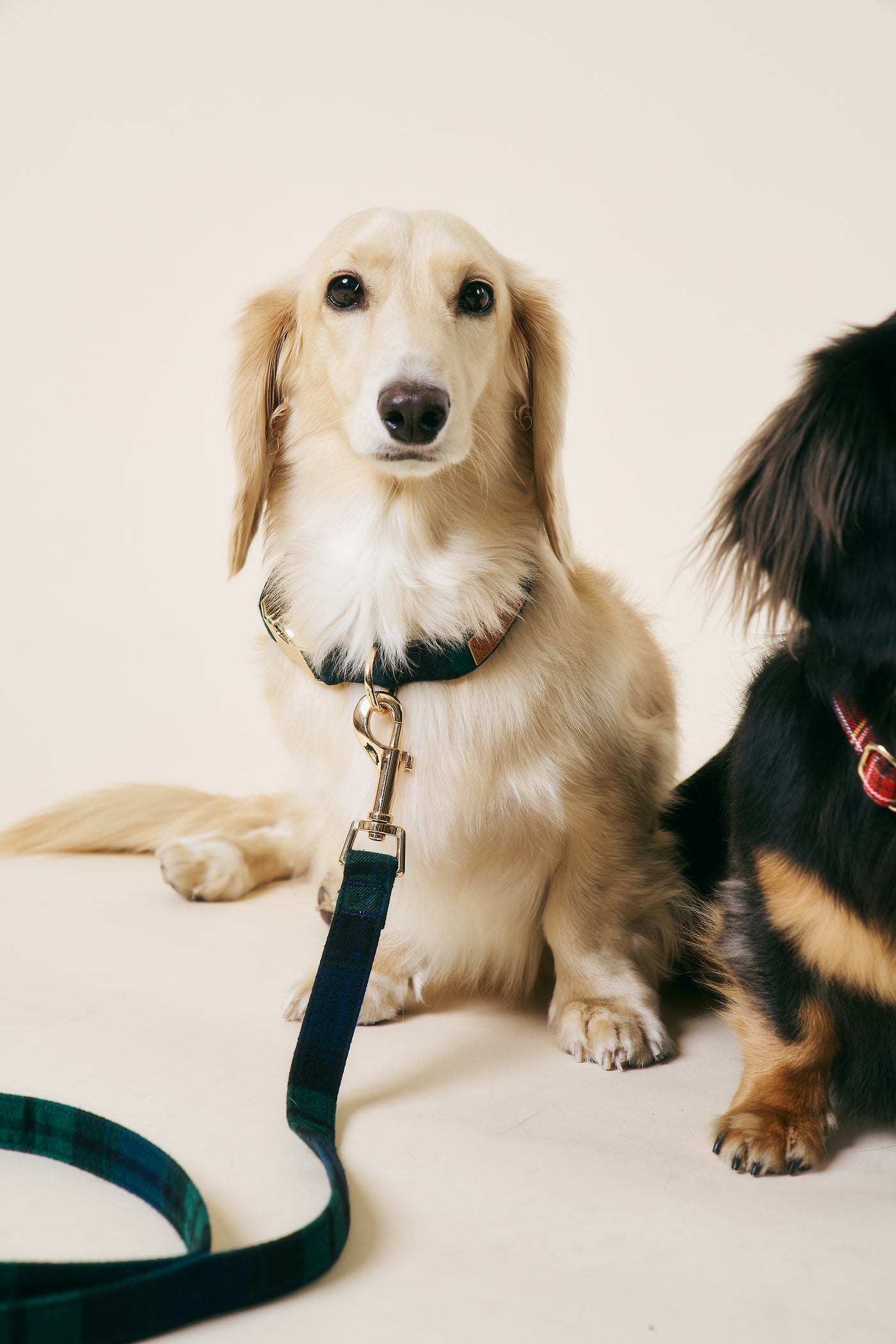 [COSONNE] Tartan Pet Neck Collar