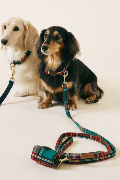 [COSONNE] Tartan Pet Leash