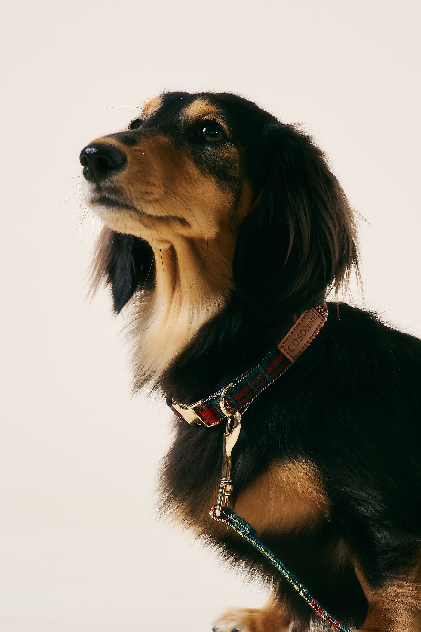 [COSONNE] Tartan Pet Neck Collar