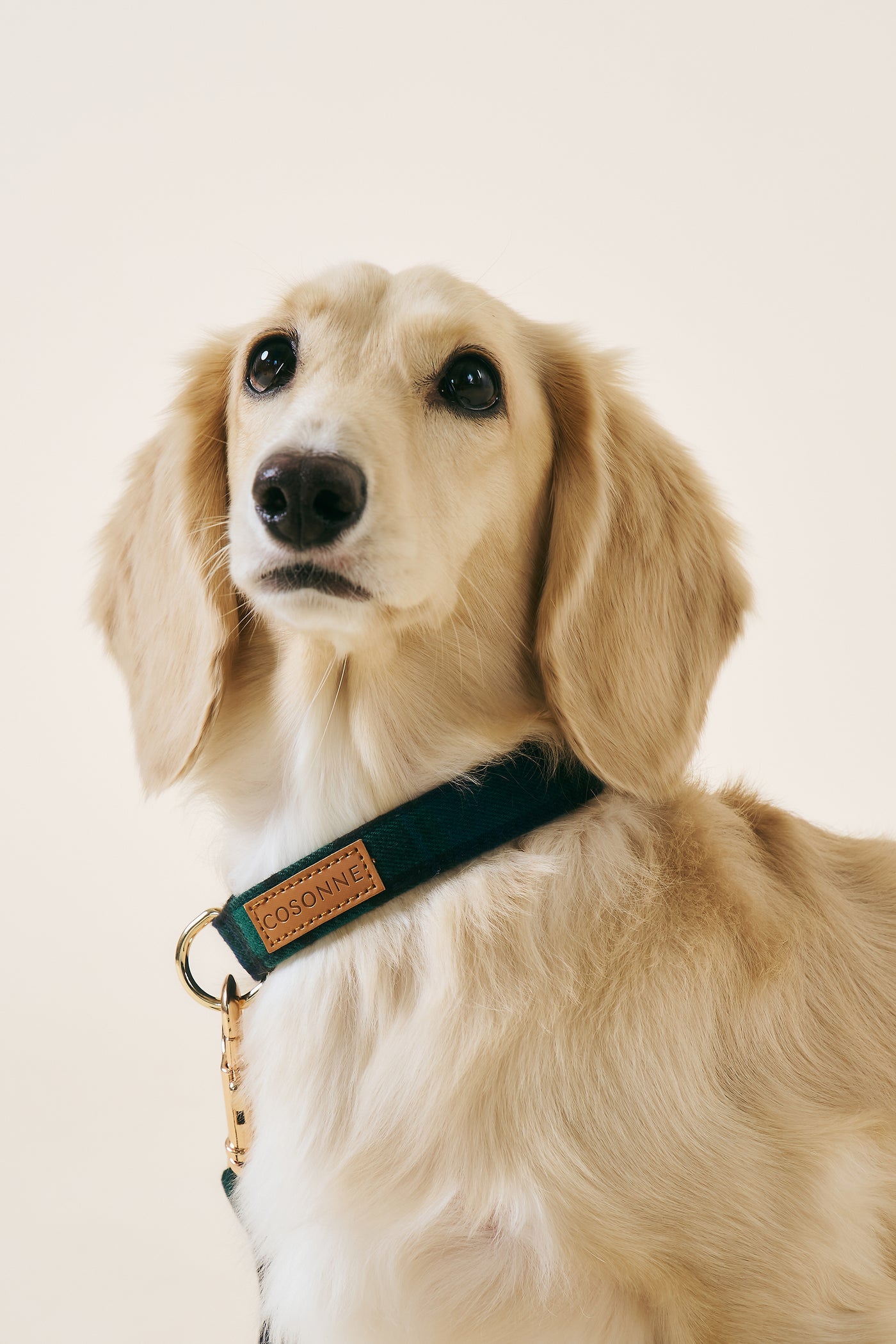 [COSONNE] Tartan Pet Neck Collar