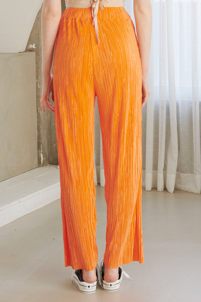 storets.com Peyton Crinkled Pleated Pants